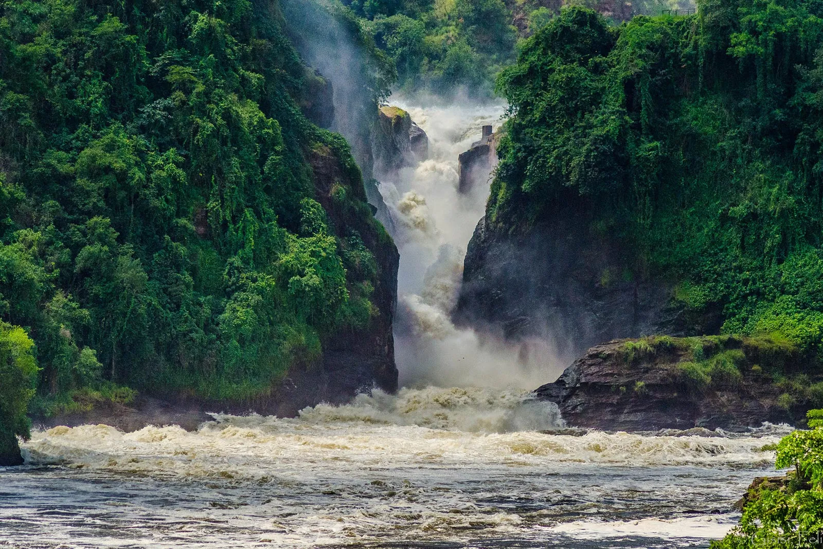 A boat cruise to the bottom of Murchison Falls